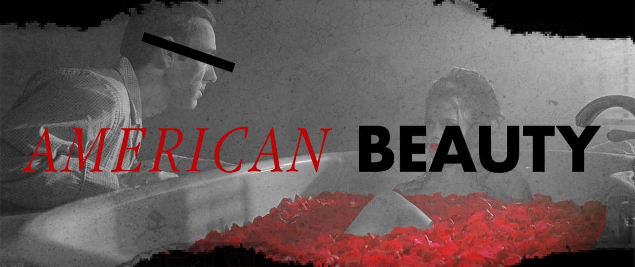 American Beauty Design